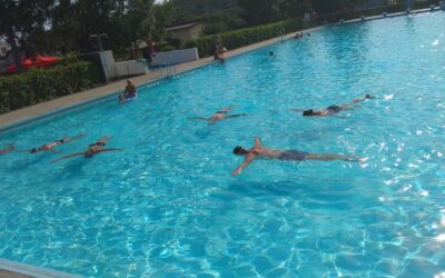 Wie richtig schwimmt Kraultier Starter